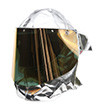 ESM+ PF60 with Visor